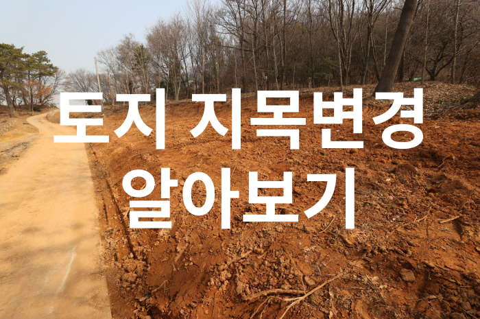 지목이 임야인 과수원 토지, 농지 평가와 지목변경 기준까지 함께 보기